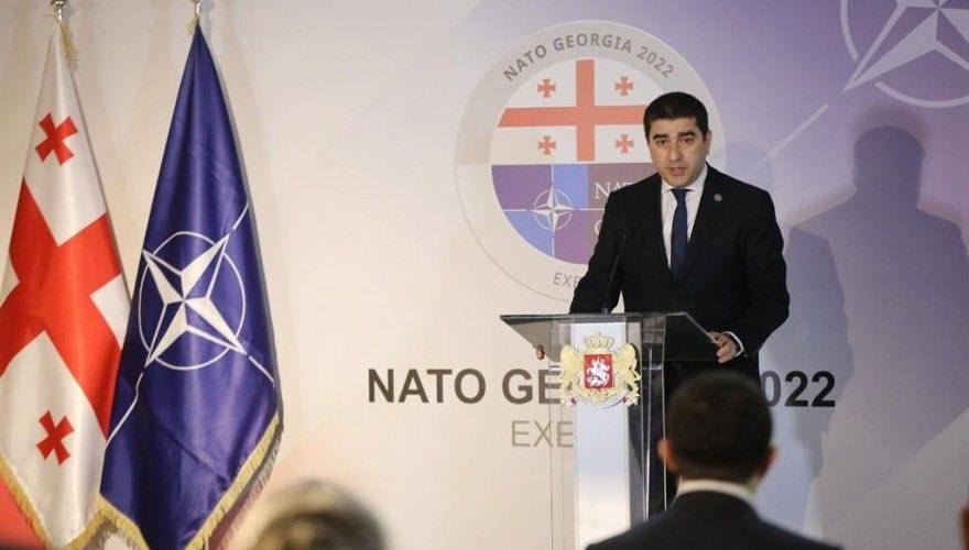 Шалва Папуашвили - Членство Грузии в НАТО должно стоять выше партийной политики
