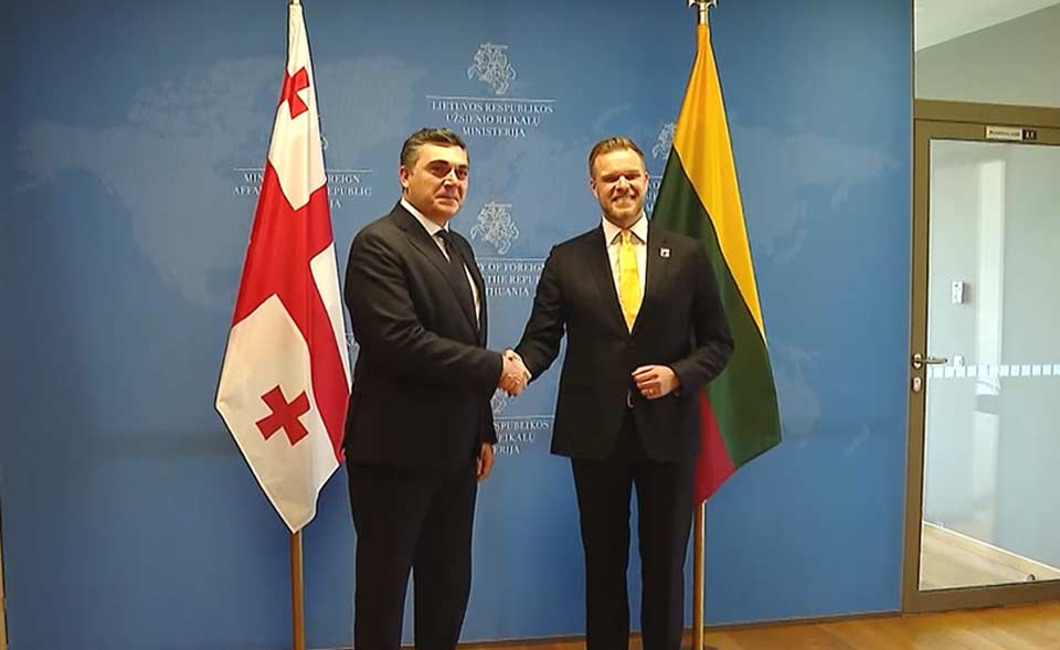Georgian, Lithuanian FMs meet