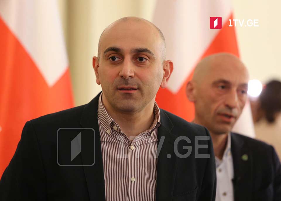 Girchi's Rakviashvili lambasts new Defence Code