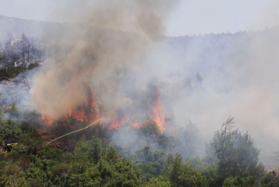 На северо-западе Афин пожар уничтожил дома, автомобили и инфраструктуру