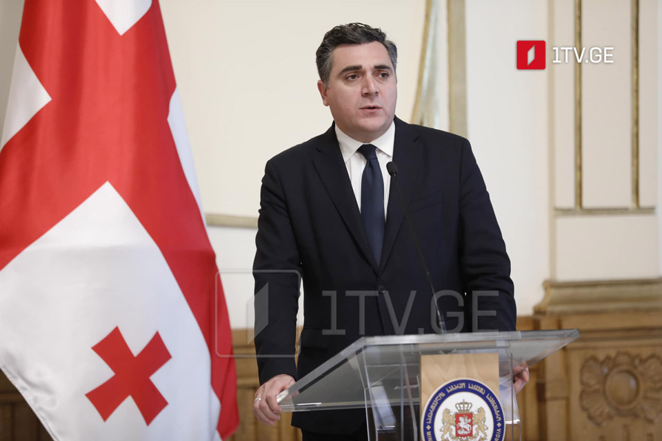 Илья Дарчиашвили - Грузия выполняет международные регуляции и так будет продолжаться в будущем, призываю всех воздерживаться от деструктивного поведения по отношению к визитерам