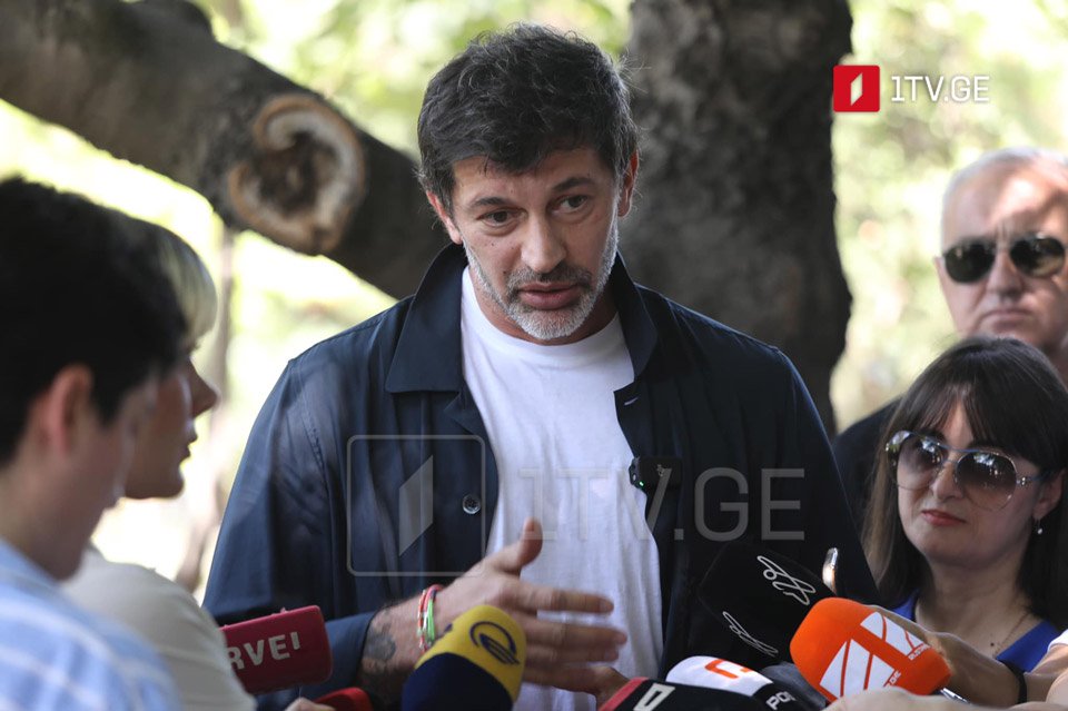 Tbilisi Mayor says gov't ready to cooperate with partners but not to harm country