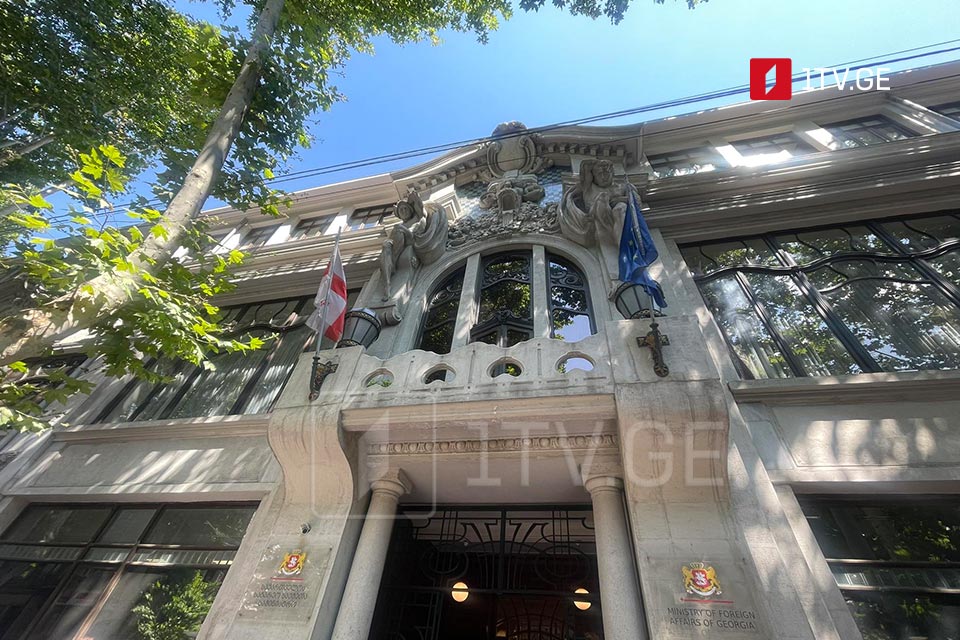 В МИД Грузии заявляют, что посольства не занимаются организационными вопросами текущего визита Саломе Зурабишвили