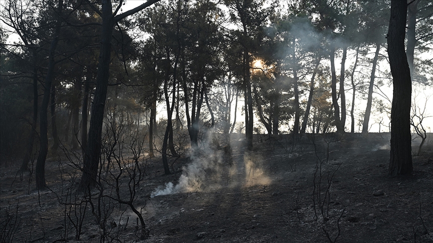 Թուրքիայում ասում են, որ երկրի հյուսիս-արևմուտքում գտնվող անտառում բռնկված լայնածավալ հրդեհը վերահսկվում է