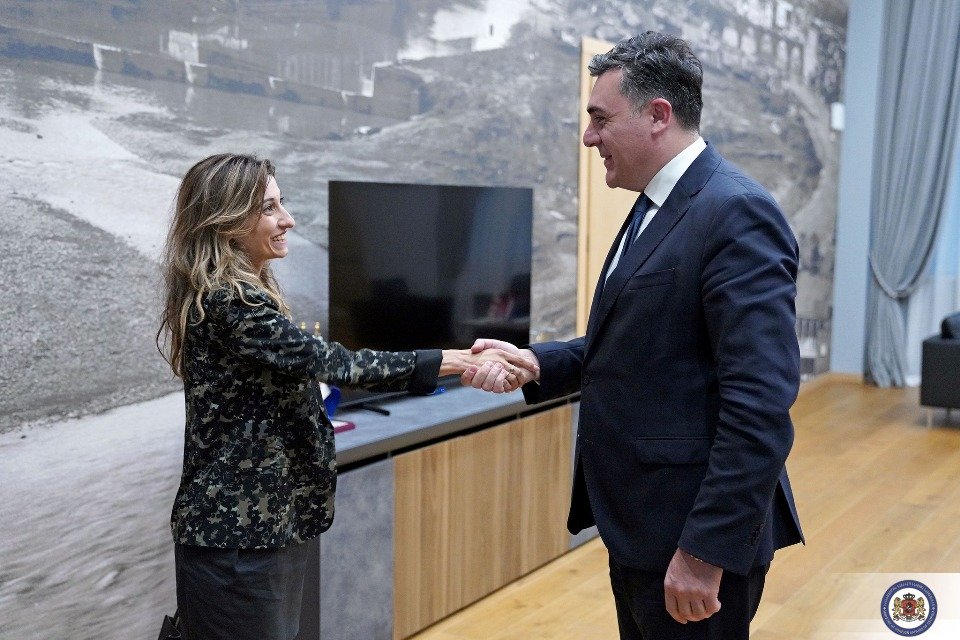 Илья Дарчиашвили встретился с новым послом Королевства Нидерландов в Грузии