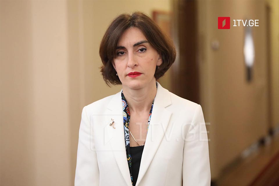 MP Bochorishvili: Certain politicians using Georgia's situation for narrow political purposes