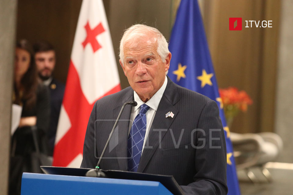 Georgian progress towards EU alignment and reforms recognized by EU institutions, says Borrell