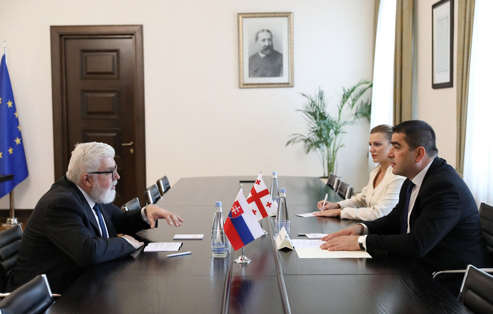 Шалва Папуашвили провел прощальную встречу с послом Словакии