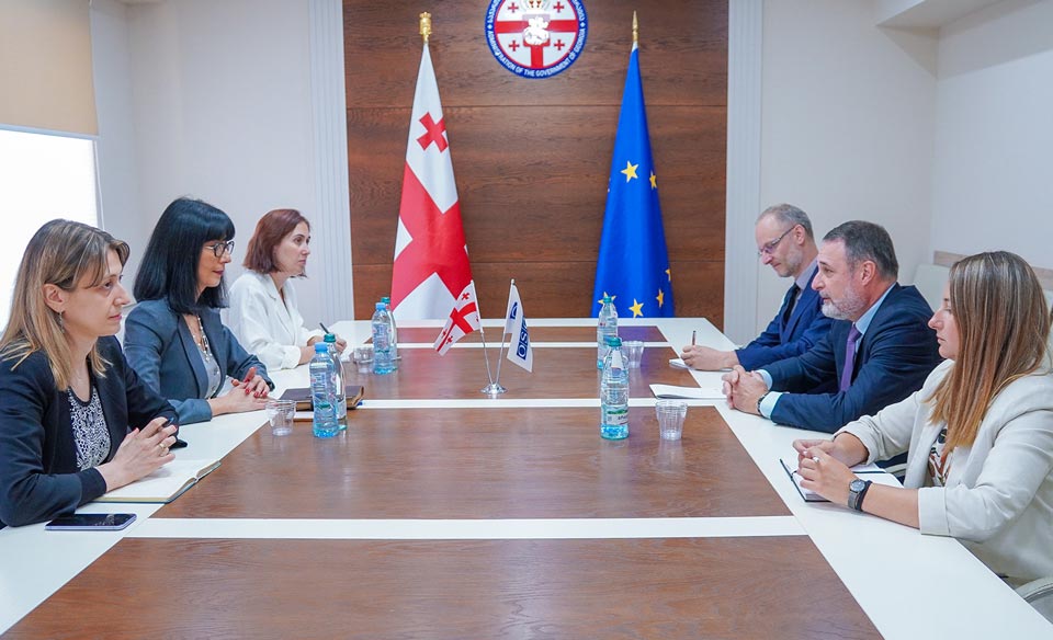 State Minister meets OSCE Special Representative for South Caucasus