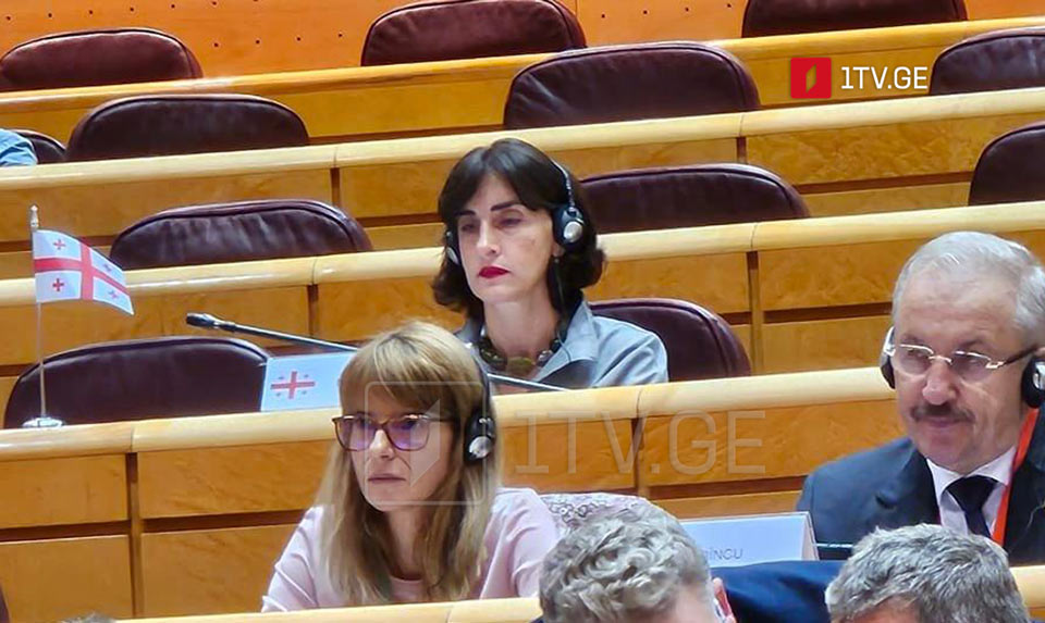 EU Integration Committee Chair: Georgia's issue active on EU agenda