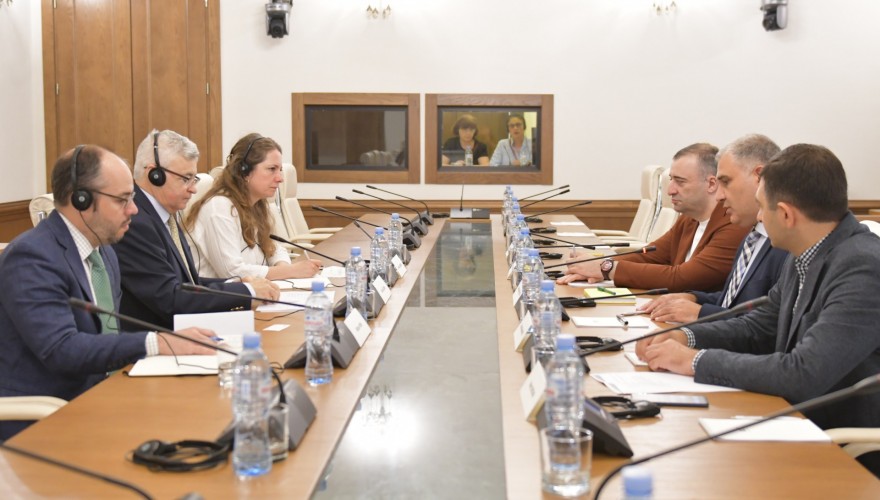 Human Rights Committee Hosts UN Special Rapporteur