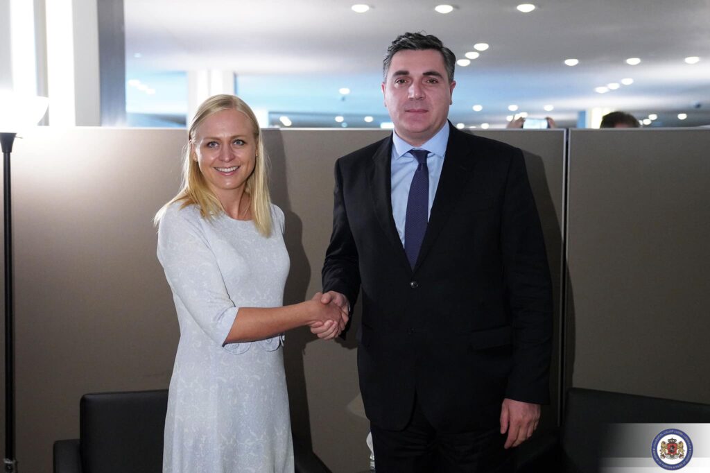 Georgian and Finnish FMs meet in New York