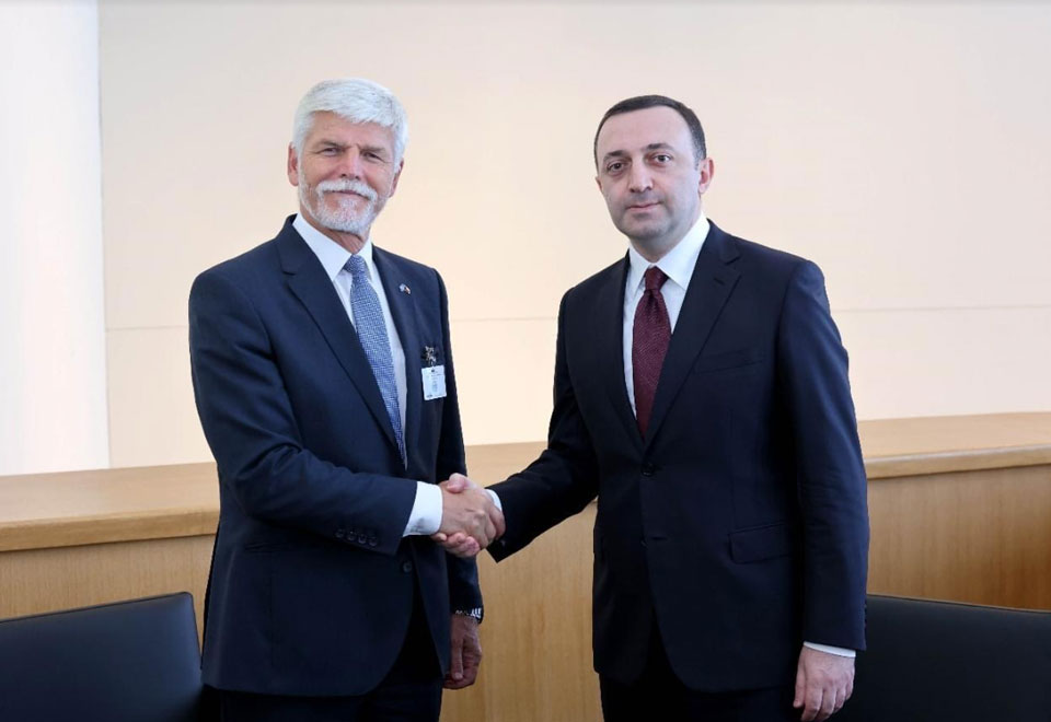 Georgian PM meets Czech President