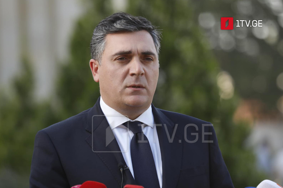 Georgia's FM: Our peace policy to yield positive results, ultimately lead to de-occupation