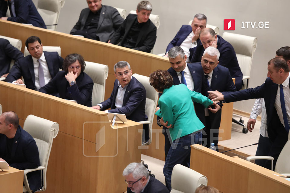 Gürcüstan parlamentində plenar iclas səs-küy fonunda keçirilir
