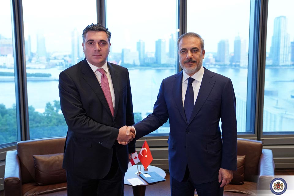 Georgian FM meets his Turkish counterpart