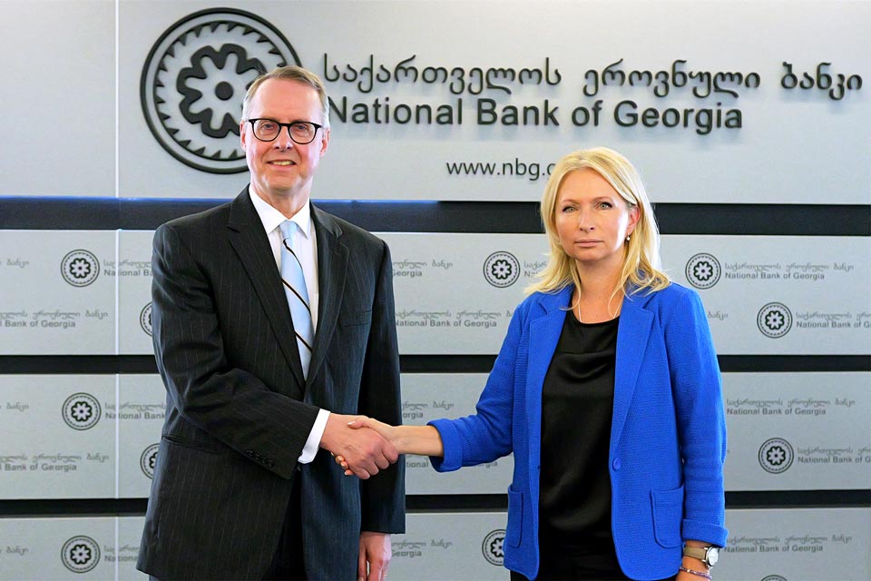 NBG Acting President meets German Ambassador