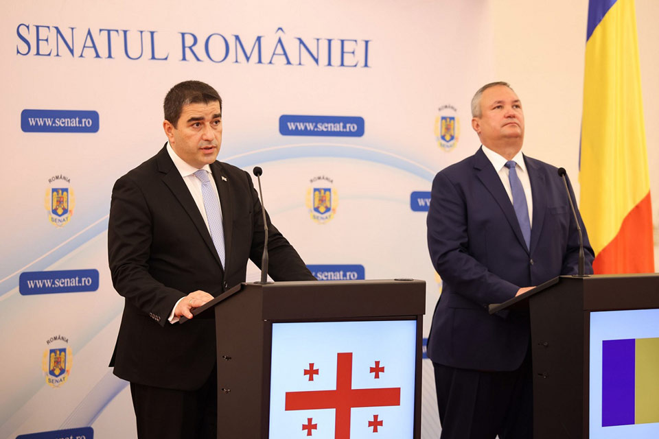 Romanian Senate President reaffirms strong support for Georgia's EU aspirations