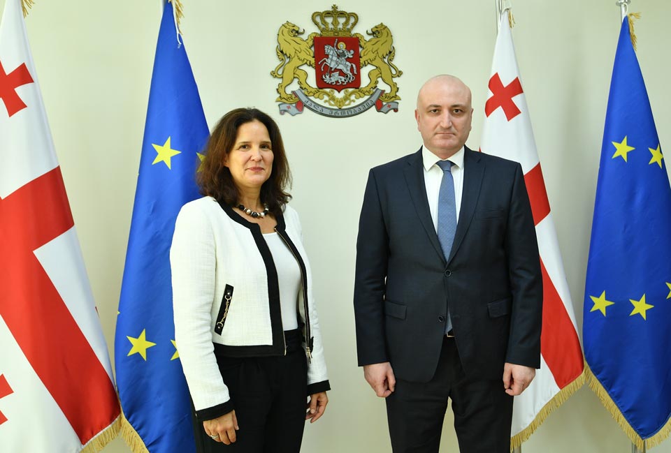 Зураб Азарашвили встретился с региональным директором Международной организации труда