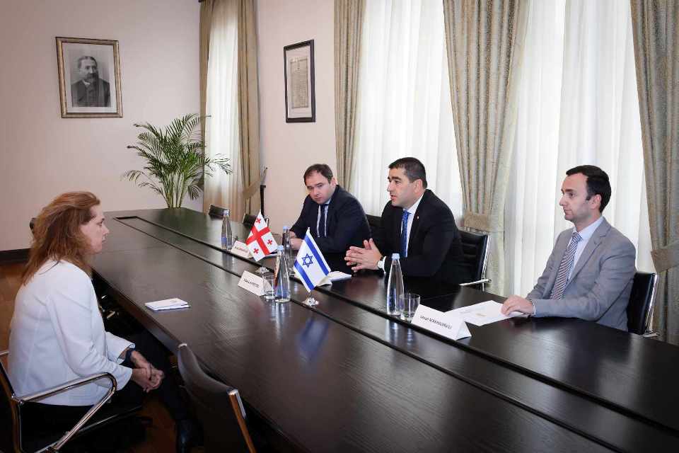 Шалва Папуашвили встретился с послом Израиля в Грузии Хадас Мейцад