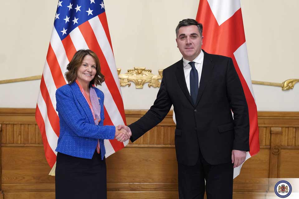 Новый посол США в Грузии вручила копии верительных грамот министру иностранных дел
