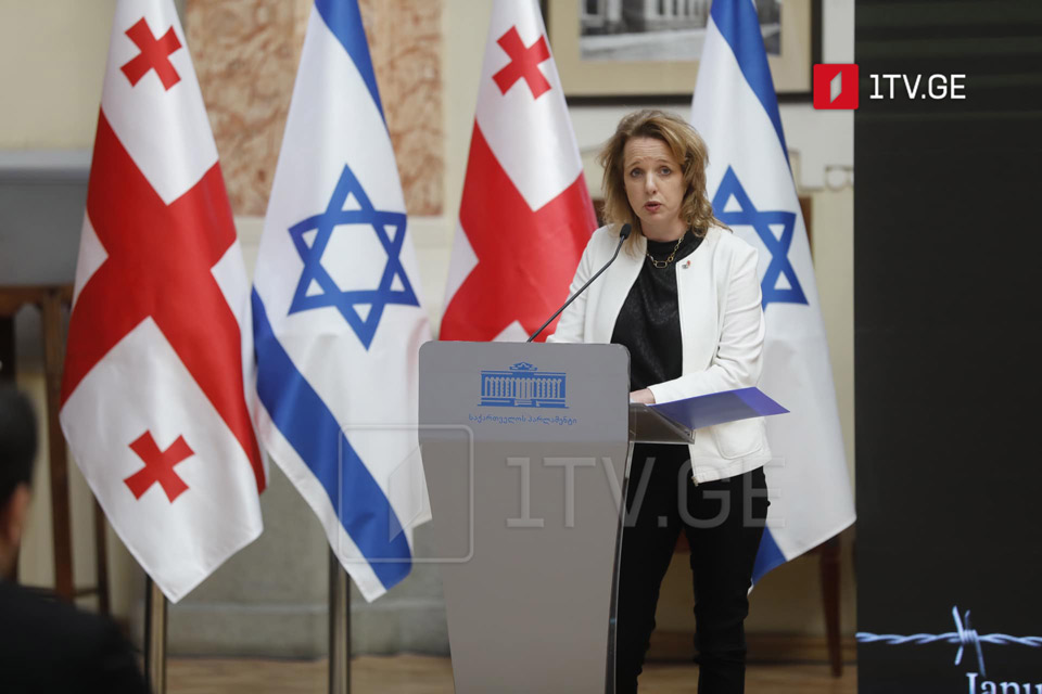Israeli Ambassador deems Georgia's support 'very strong'