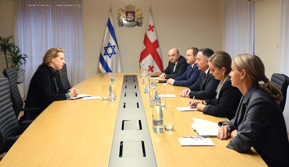 Вахтанг Гомелаури встретился с послом Израиля в Грузии Хадас Мейцад