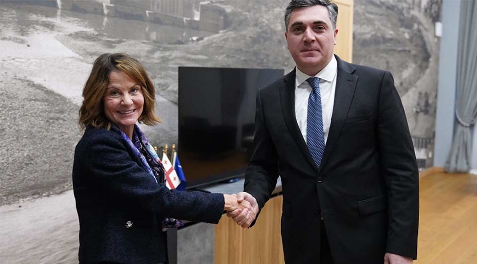 Илья Дарчиашвили встретился с послом США