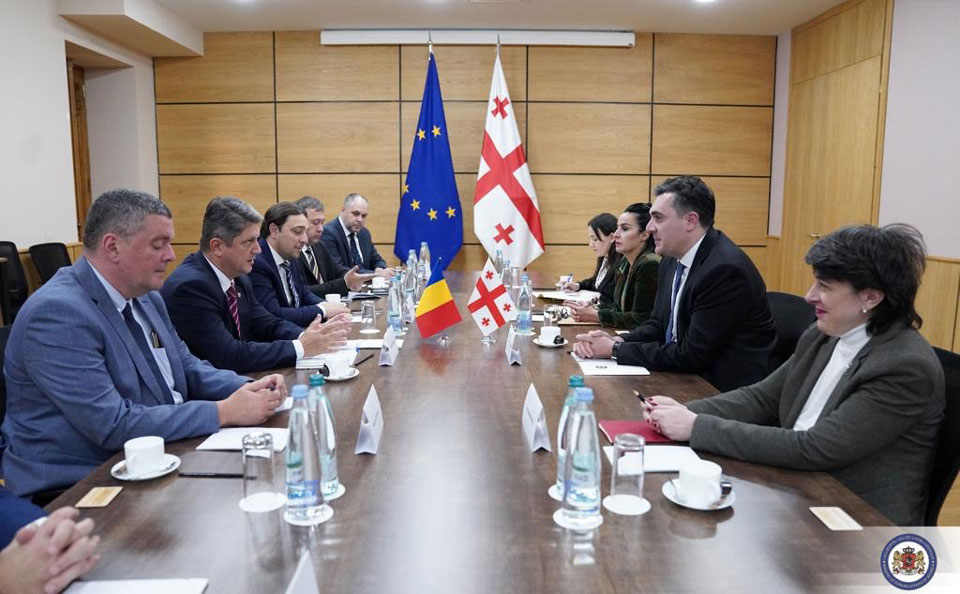 Georgian FM hosts Romanian Chairperson of Foreign Affairs Committee