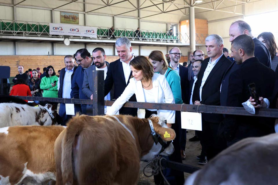 Cattle Expo 2023 opens in Tbilisi