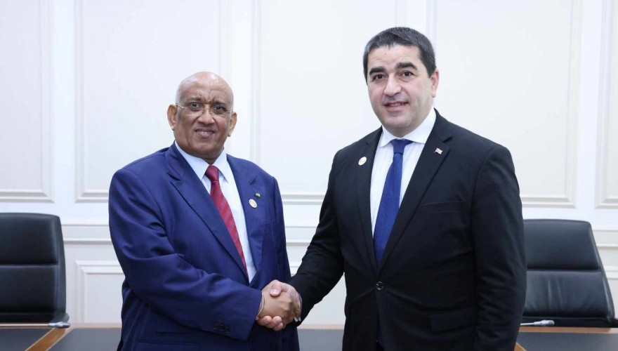Georgian Speaker meets Djibouti colleague