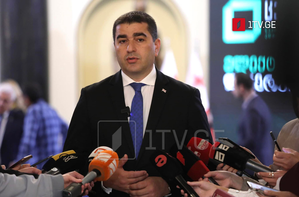 Georgian gov't applied and will receive EU membership on behalf of Georgian people, Speaker says