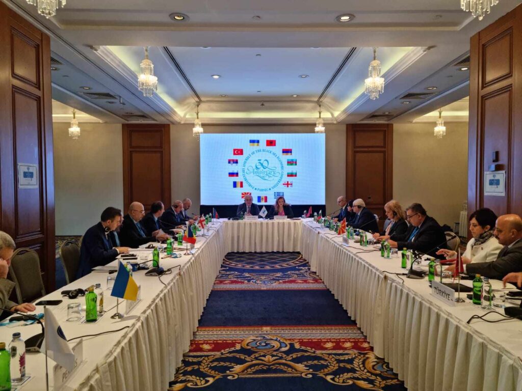 Georgian delegation participates in PABSEC committee meetings