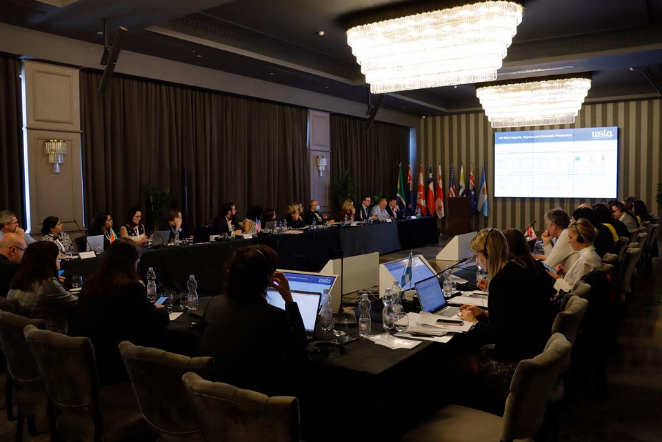 Tbilisi hosts WWTG annual meeting 