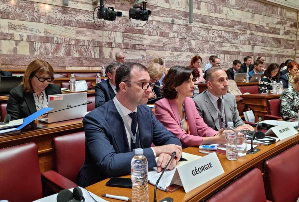 Участники европейской региональной встречи Парламентской ассамблеи Франкофонии разработали декларацию, в которой выражается поддержка Грузии