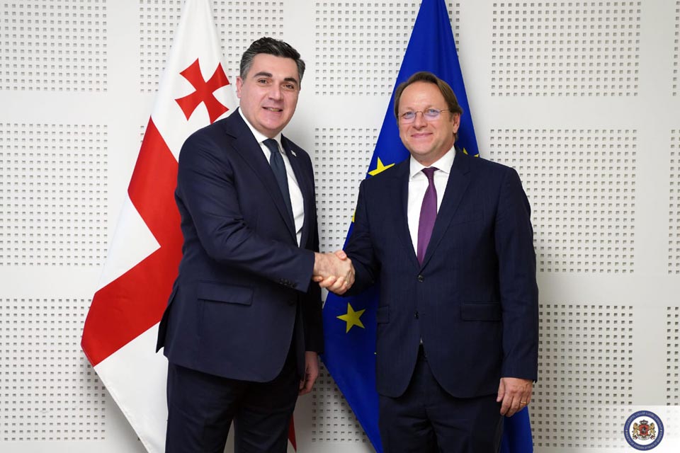 Georgian FM meets EU Commissioner Várhelyi