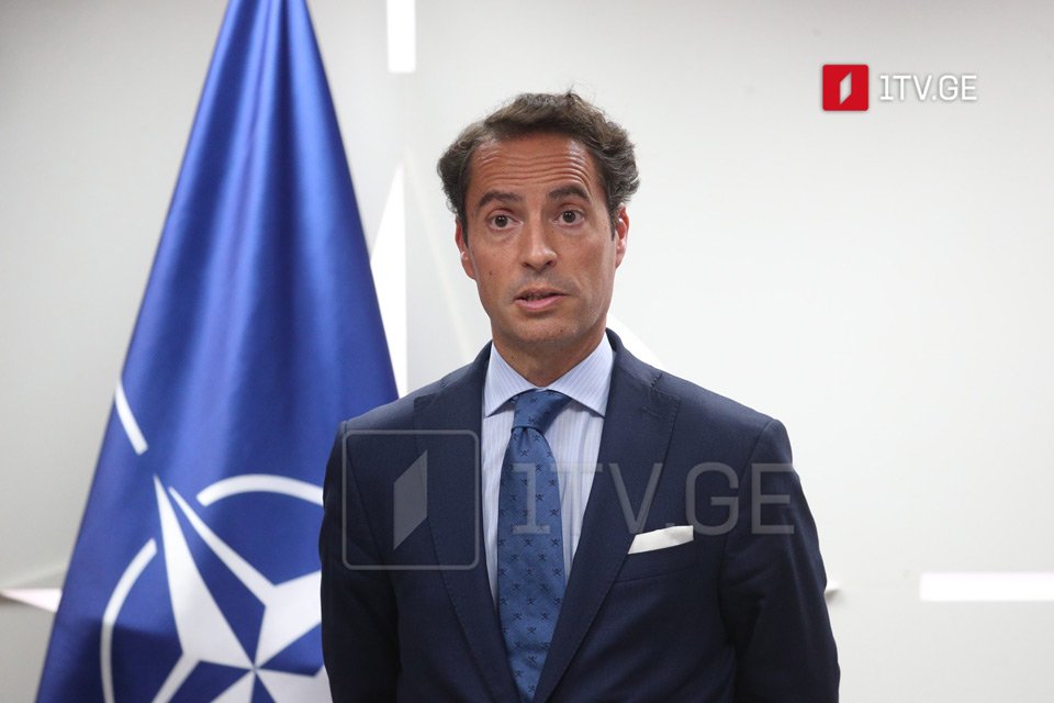 NATO's Colomina congratulates Georgia on EC's positive recommendation