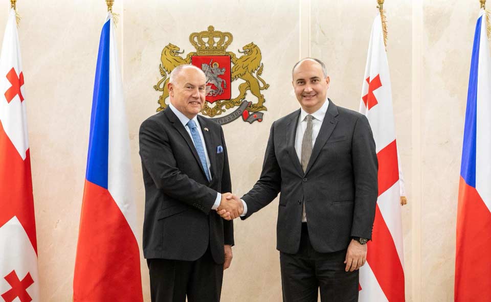 Джуаншер Бурчуладзе встретился с новым послом Чехии