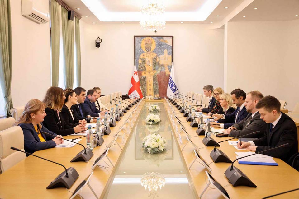 Шалва Папуашвили встретился с президентом Парламентской ассамблеи ОБСЕ