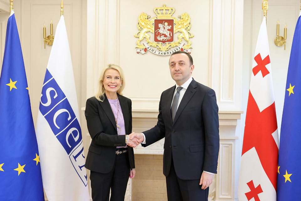 Ираклий Гарибашвили встретился с президентом Парламентской ассамблеи ОБСЕ