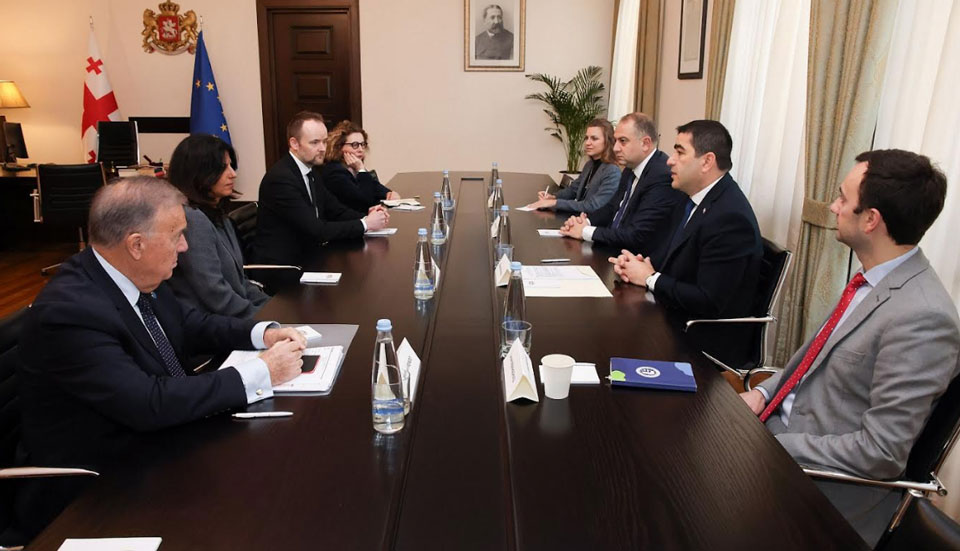 Шалва Папуашвили встретился с делегацией Венецианской комиссии