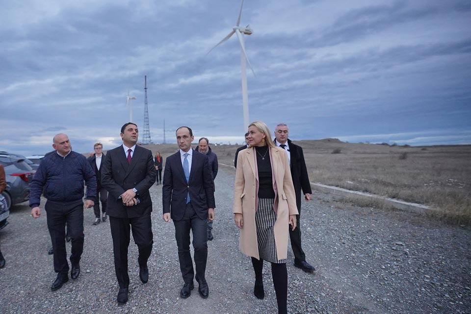 Vice PM, EU Commissioner visit Wind Electric Plant