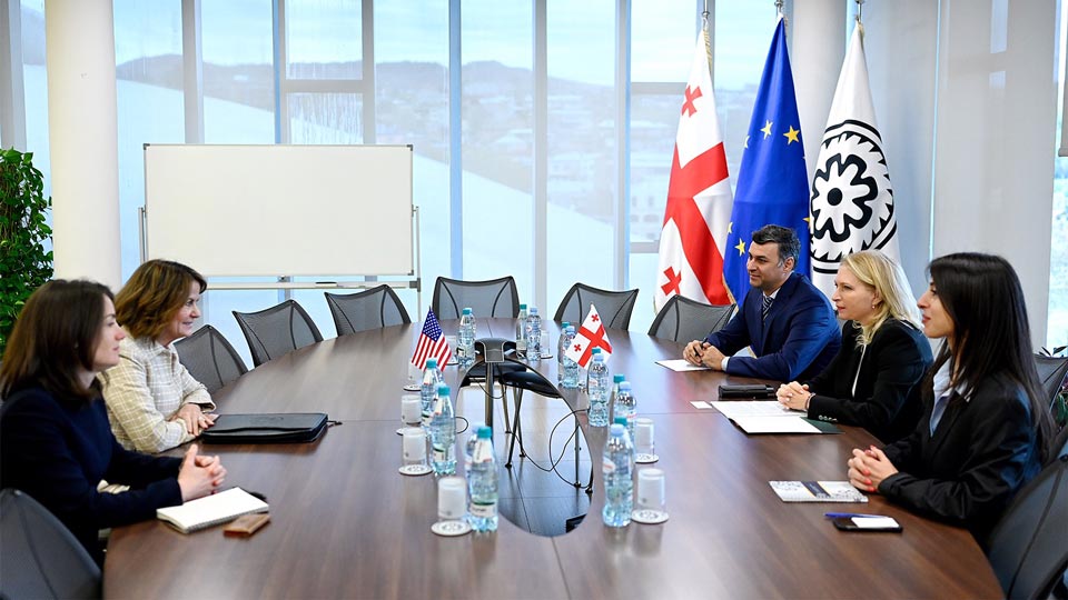 NBG Acting President meets U.S. Ambassador to Georgia