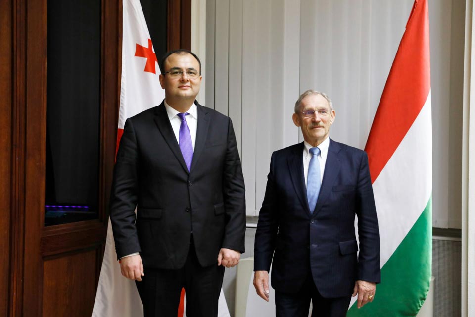 Georgian Justice Minister meets Hungarian Interior Minister