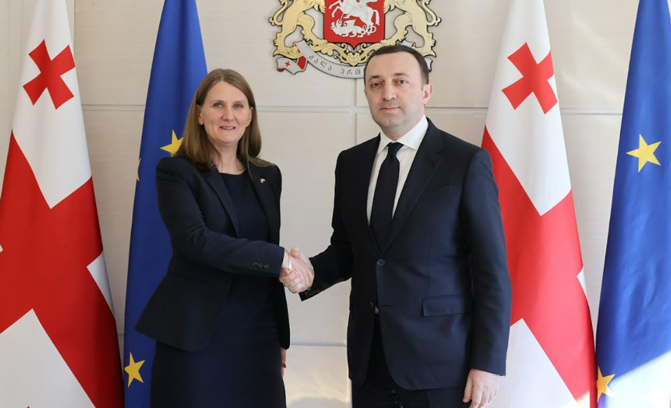 Ираклий Гарибашвили встретился с новым послом Королевства Швеция