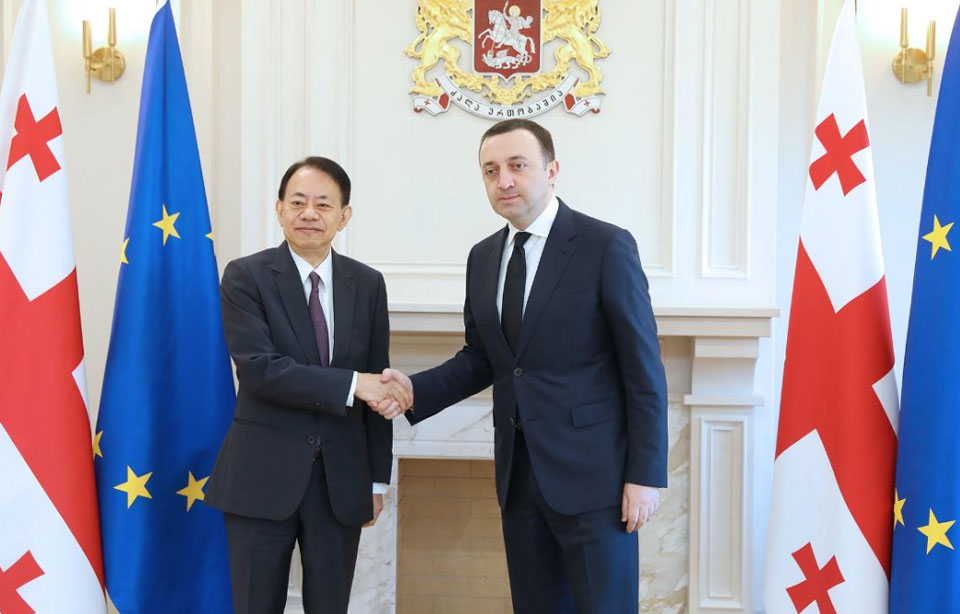 Ираклий Гарибашвили встретился с президентом АБР