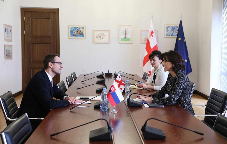 EU Integration Committee Chair meets newly appointed Slovak Ambassador