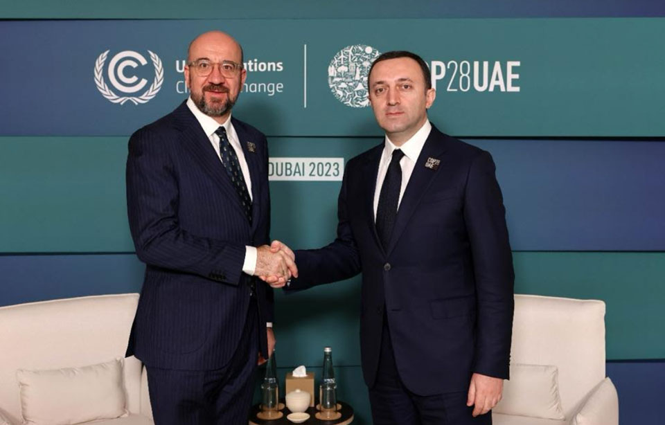 Georgian PM meets European Council President 