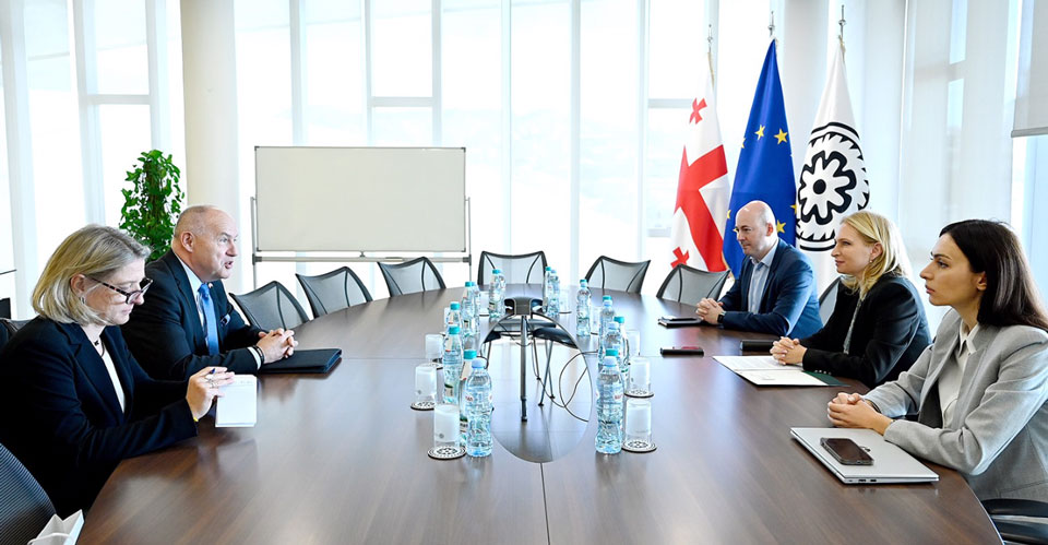 NBG Acting President meets Ambassador of Czech Republic to Georgia