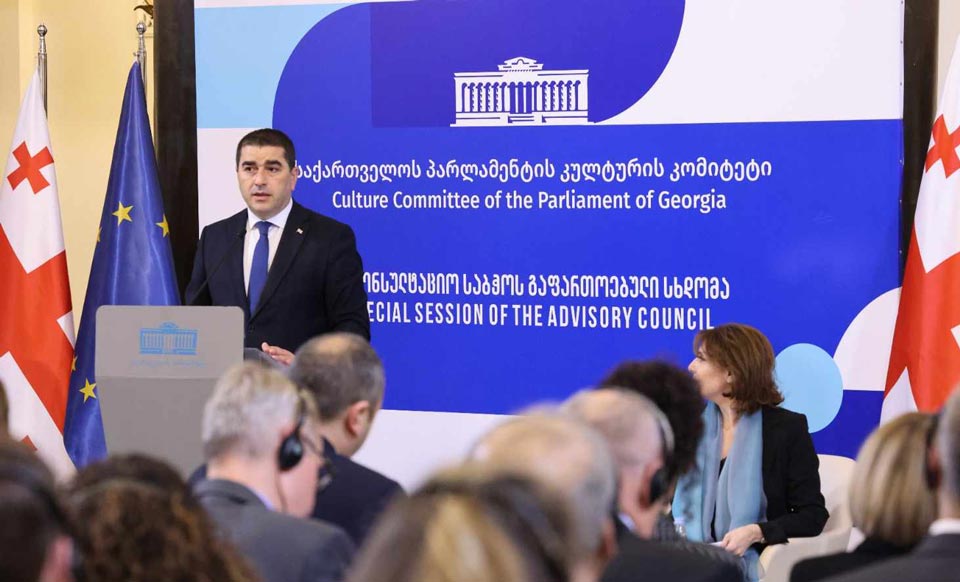 Speaker says EU, Georgia cannot be complete without each other